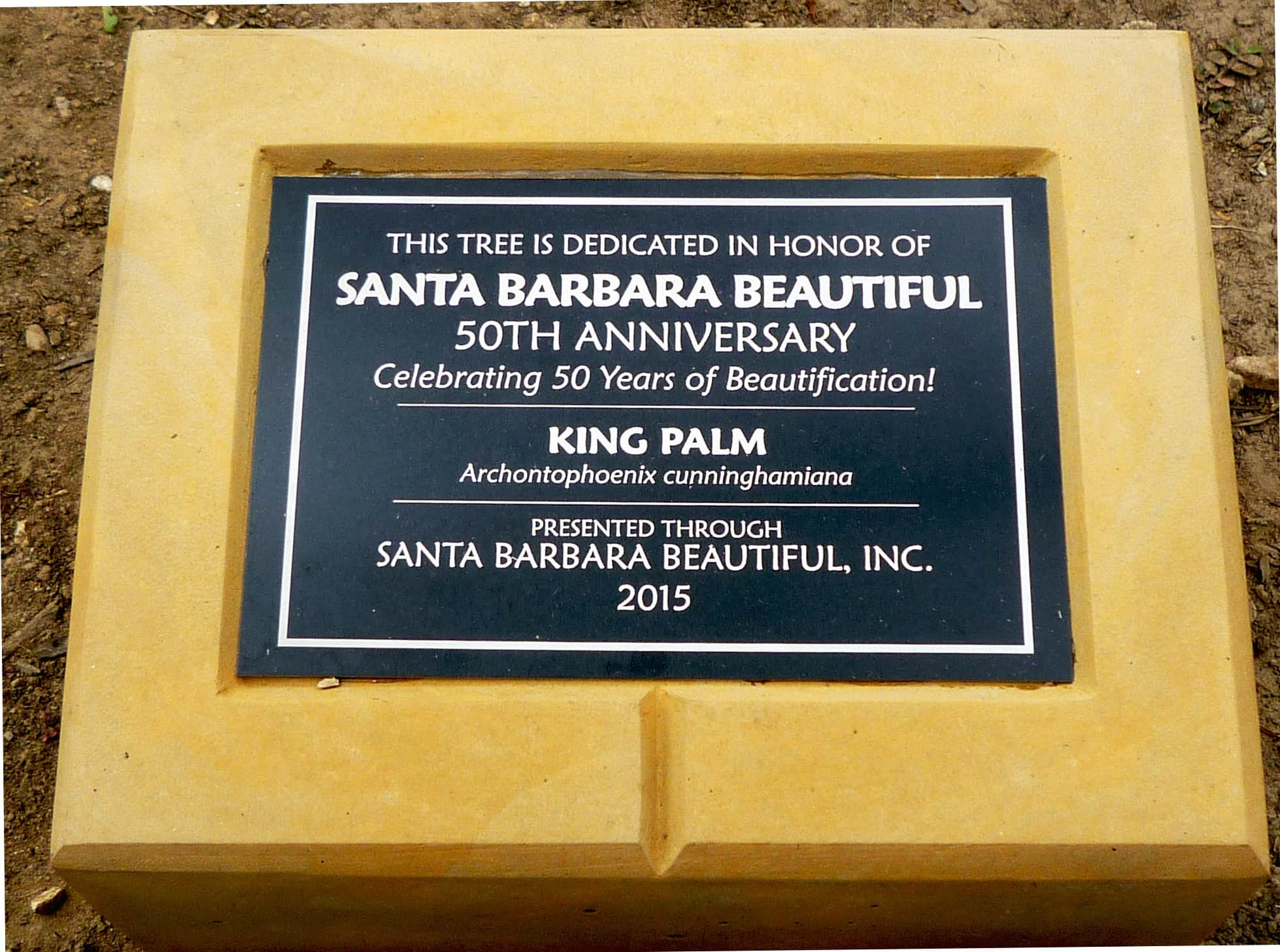 50th-anniversary-plaque-sbb