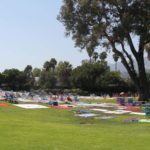 Chase Palm Park - blankets