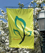 State St Flag